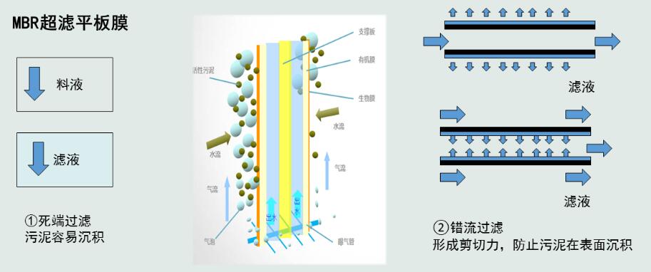 1603063773649242.jpg 55.jpg